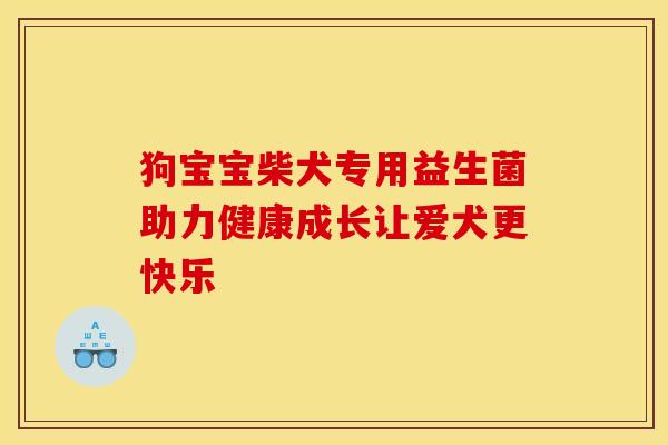 狗宝宝柴犬专用益生菌助力健康成长让爱犬更快乐