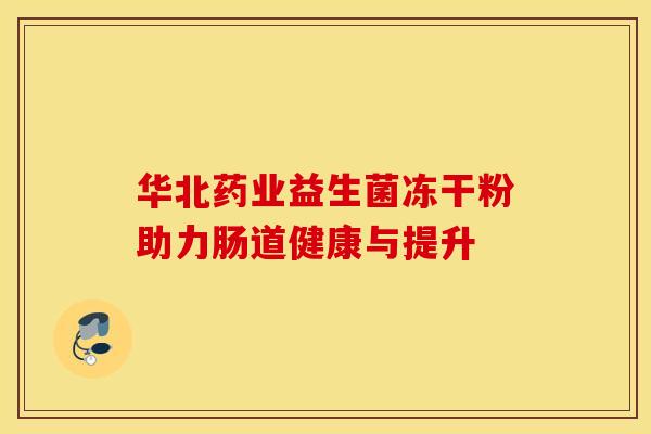 华北药业益生菌冻干粉助力肠道健康与提升