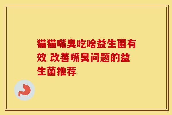 猫猫嘴臭吃啥益生菌有效 改善嘴臭问题的益生菌推荐