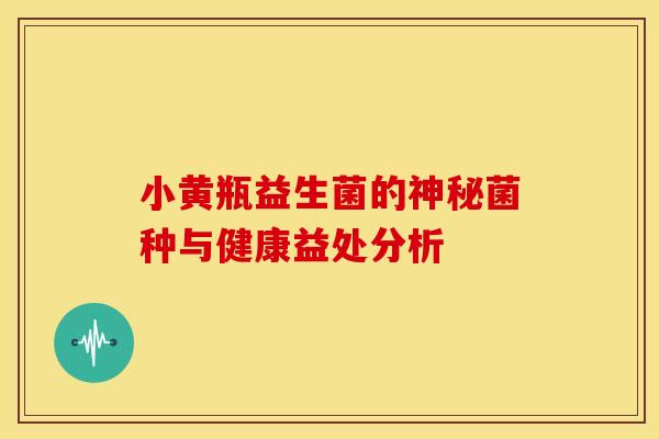 小黄瓶益生菌的神秘菌种与健康益处分析