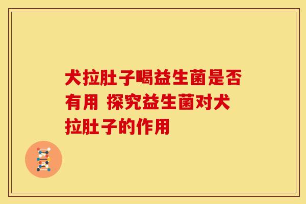 犬拉肚子喝益生菌是否有用 探究益生菌对犬拉肚子的作用