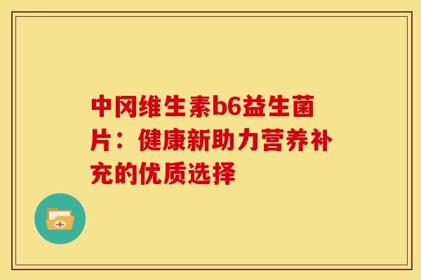 中冈维生素b6益生菌片：健康新助力营养补充的优质选择