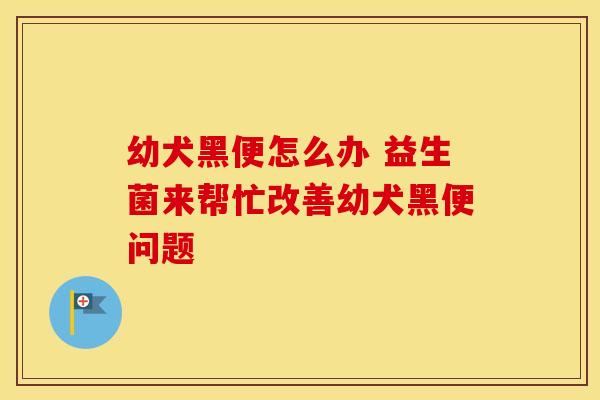 幼犬黑便怎么办 益生菌来帮忙改善幼犬黑便问题