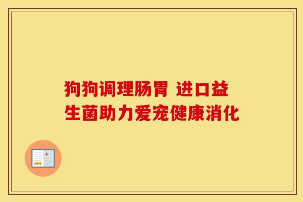 狗狗调理肠胃 进口益生菌助力爱宠健康消化