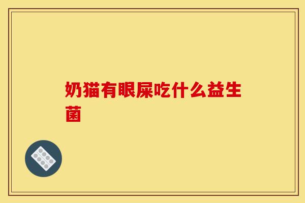 奶猫有眼屎吃什么益生菌