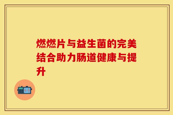燃燃片与益生菌的完美结合助力肠道健康与提升