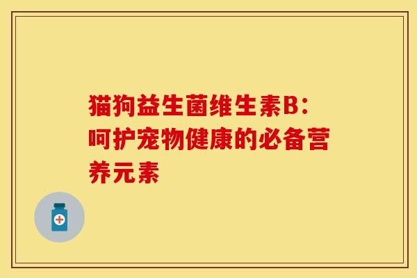 猫狗益生菌维生素B：呵护宠物健康的必备营养元素