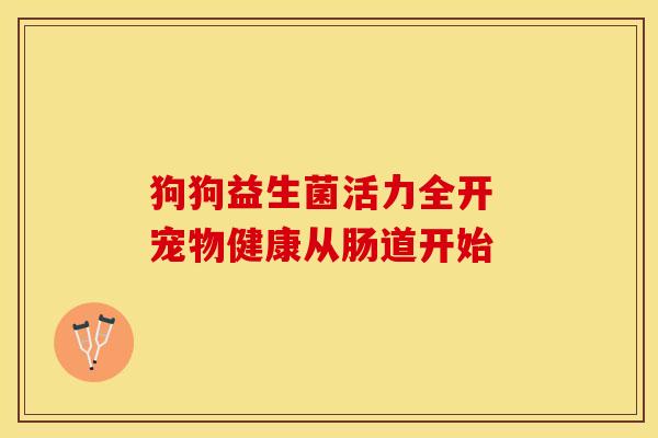 狗狗益生菌活力全开 宠物健康从肠道开始