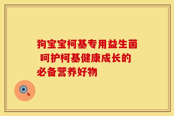 狗宝宝柯基专用益生菌 呵护柯基健康成长的必备营养好物