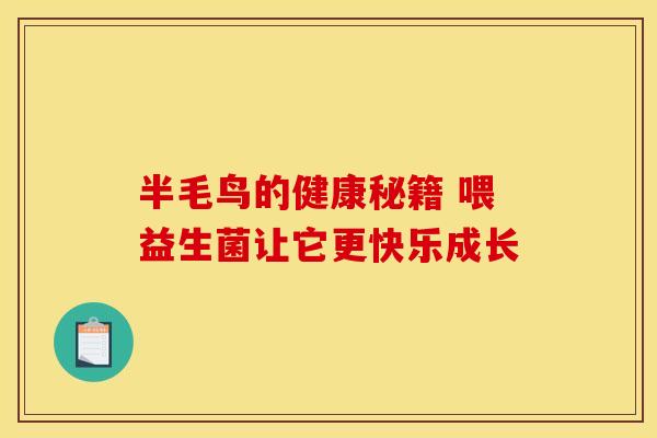 半毛鸟的健康秘籍 喂益生菌让它更快乐成长
