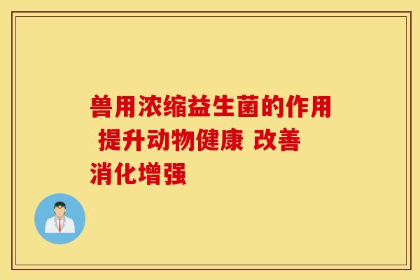 兽用浓缩益生菌的作用 提升动物健康 改善消化增强