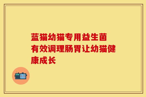 蓝猫幼猫专用益生菌 有效调理肠胃让幼猫健康成长