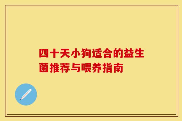 四十天小狗适合的益生菌推荐与喂养指南