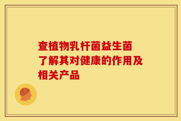 查植物乳杆菌益生菌 了解其对健康的作用及相关产品