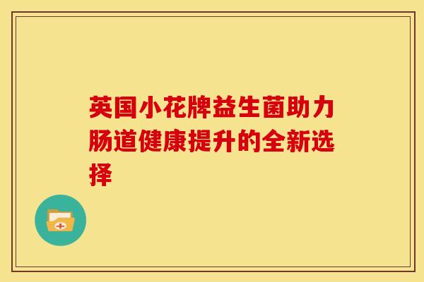 英国小花牌益生菌助力肠道健康提升的全新选择