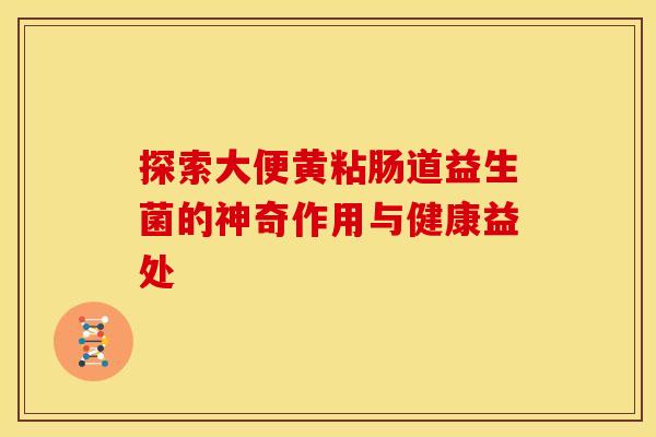 探索大便黄粘肠道益生菌的神奇作用与健康益处