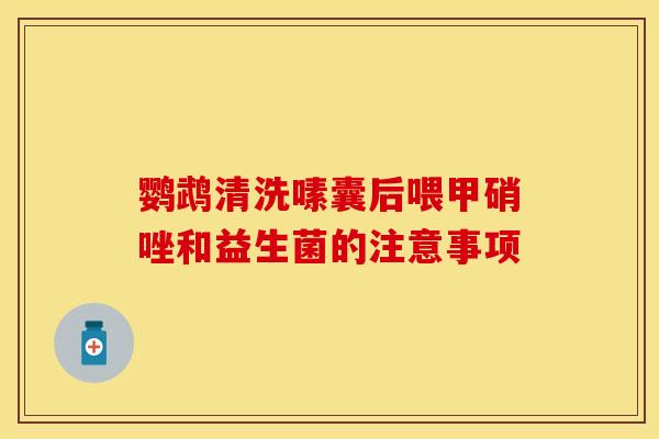 鹦鹉清洗嗉囊后喂甲硝唑和益生菌的注意事项