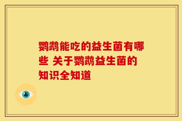鹦鹉能吃的益生菌有哪些 关于鹦鹉益生菌的知识全知道