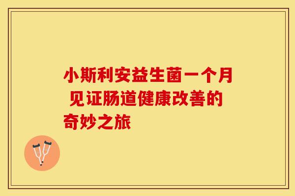 小斯利安益生菌一个月 见证肠道健康改善的奇妙之旅