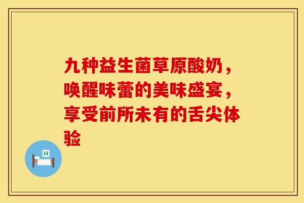 九种益生菌草原酸奶，唤醒味蕾的美味盛宴，享受前所未有的舌尖体验