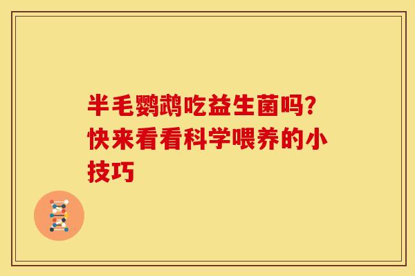 半毛鹦鹉吃益生菌吗？快来看看科学喂养的小技巧
