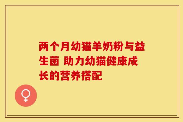 两个月幼猫羊奶粉与益生菌 助力幼猫健康成长的营养搭配