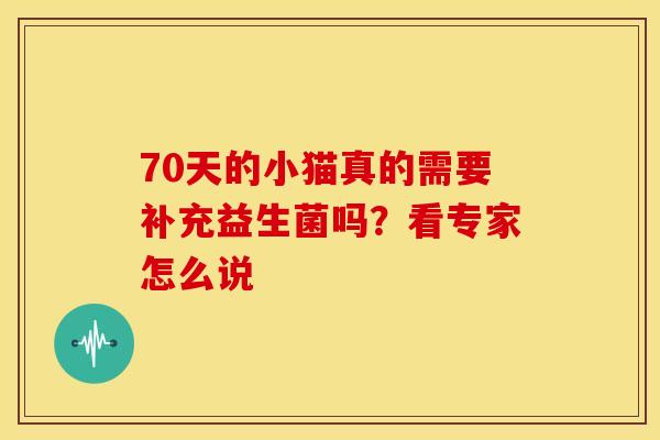 70天的小猫真的需要补充益生菌吗？看专家怎么说