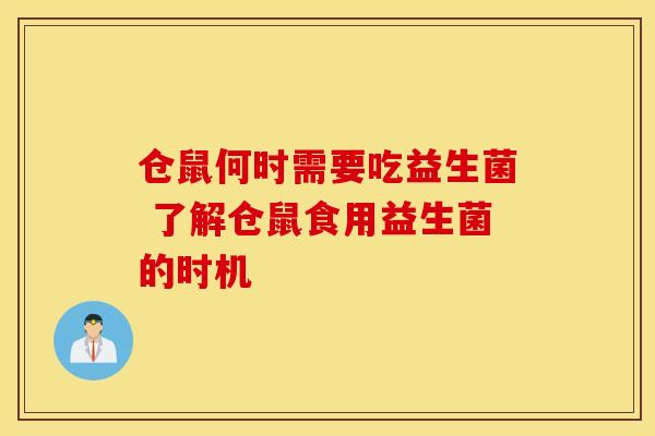 仓鼠何时需要吃益生菌 了解仓鼠食用益生菌的时机