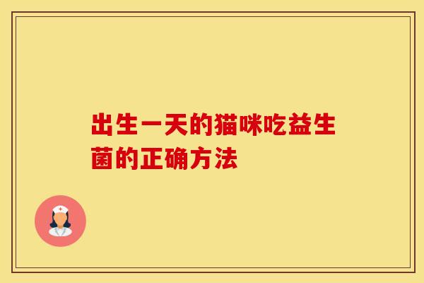 出生一天的猫咪吃益生菌的正确方法