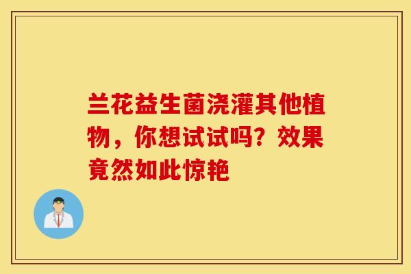 兰花益生菌浇灌其他植物，你想试试吗？效果竟然如此惊艳