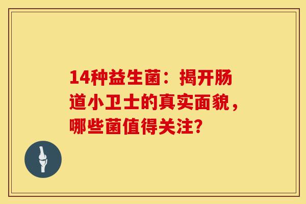 14种益生菌：揭开肠道小卫士的真实面貌，哪些菌值得关注？