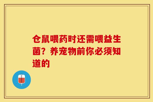 仓鼠喂药时还需喂益生菌？养宠物前你必须知道的