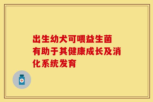 出生幼犬可喂益生菌 有助于其健康成长及消化系统发育
