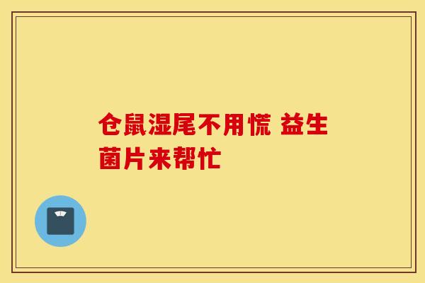 仓鼠湿尾不用慌 益生菌片来帮忙