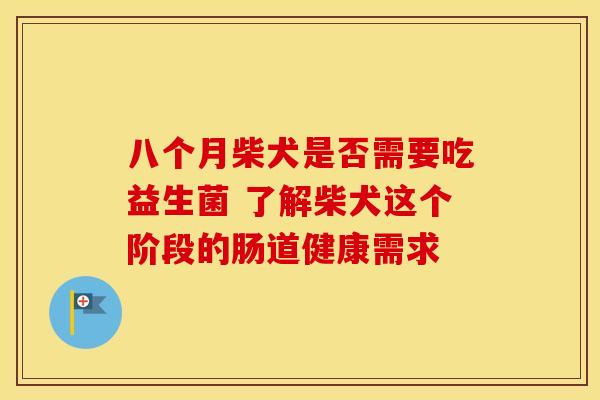 八个月柴犬是否需要吃益生菌 了解柴犬这个阶段的肠道健康需求