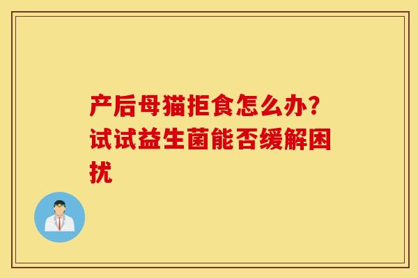 产后母猫拒食怎么办？试试益生菌能否缓解困扰