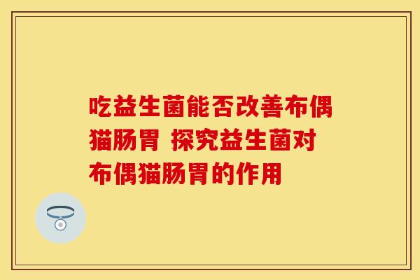 吃益生菌能否改善布偶猫肠胃 探究益生菌对布偶猫肠胃的作用