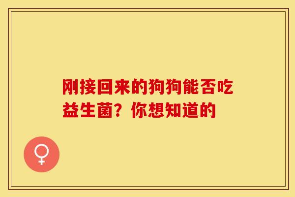刚接回来的狗狗能否吃益生菌？你想知道的