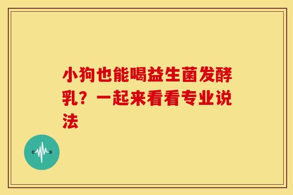 小狗也能喝益生菌发酵乳？一起来看看专业说法