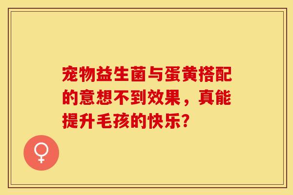 宠物益生菌与蛋黄搭配的意想不到效果，真能提升毛孩的快乐？
