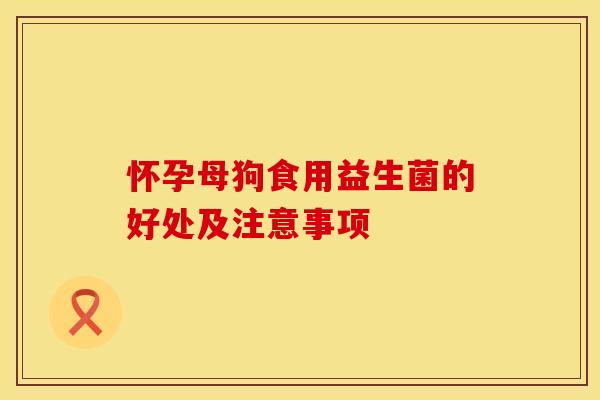 怀孕母狗食用益生菌的好处及注意事项