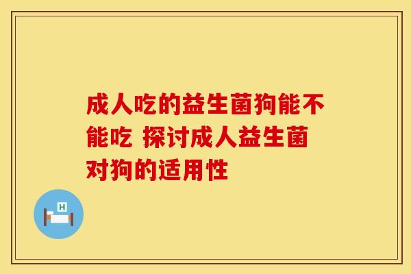 成人吃的益生菌狗能不能吃 探讨成人益生菌对狗的适用性