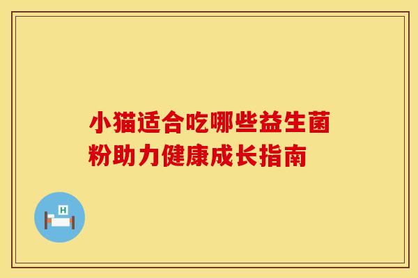 小猫适合吃哪些益生菌粉助力健康成长指南