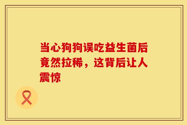 当心狗狗误吃益生菌后竟然拉稀，这背后让人震惊