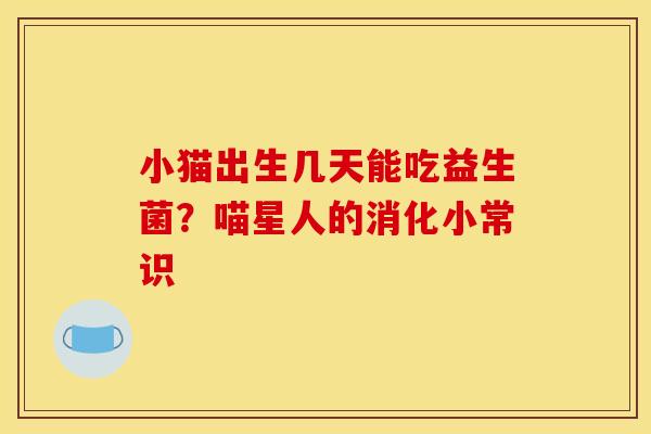 小猫出生几天能吃益生菌？喵星人的消化小常识