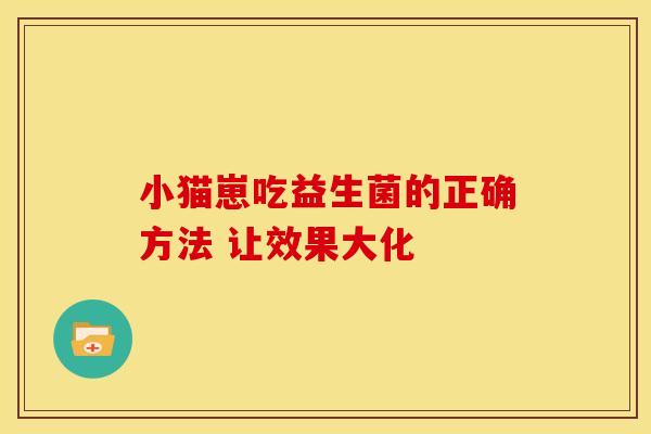 小猫崽吃益生菌的正确方法 让效果大化