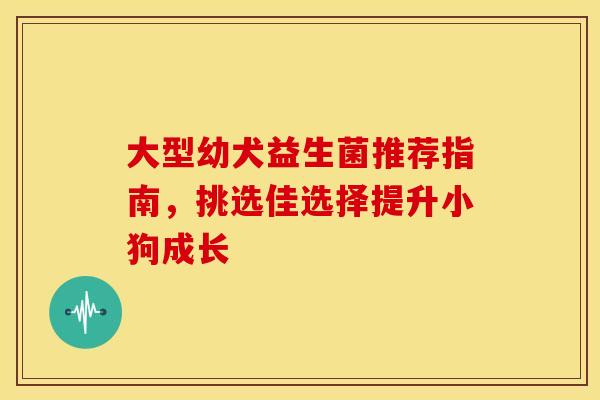 大型幼犬益生菌推荐指南，挑选佳选择提升小狗成长
