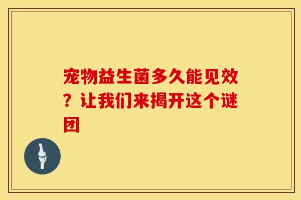 宠物益生菌多久能见效？让我们来揭开这个谜团