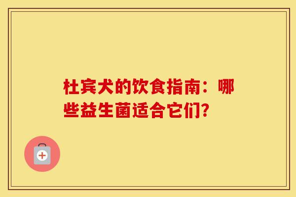 杜宾犬的饮食指南：哪些益生菌适合它们？