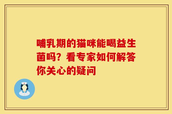 哺乳期的猫咪能喝益生菌吗？看专家如何解答你关心的疑问
